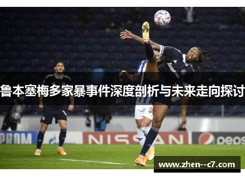 鲁本塞梅多家暴事件深度剖析与未来走向探讨