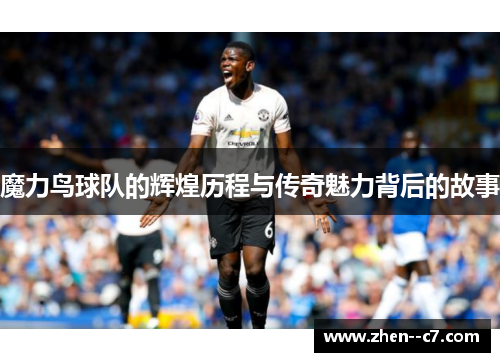 魔力鸟球队的辉煌历程与传奇魅力背后的故事
