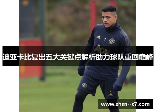迪亚卡比复出五大关键点解析助力球队重回巅峰